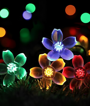 BLOMMA